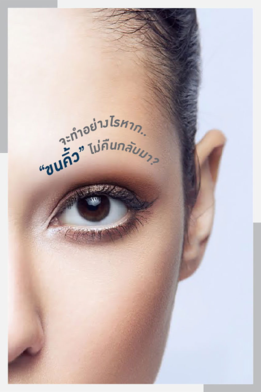 ดูแลขนคิ้ว ดูแลขนคิ้ว