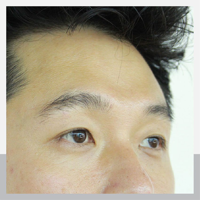 Review of 3D eyebrow painting