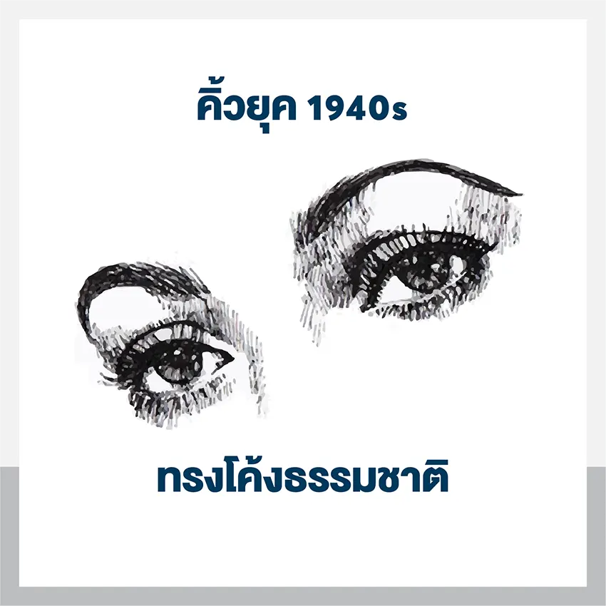 รูปแบบทรงคิ้ว