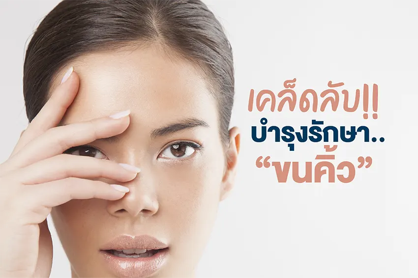 เคล็ดลับบำรุงรักษาขนคิ้ว เคล็ดลับบำรุงรักษาขนคิ้ว
