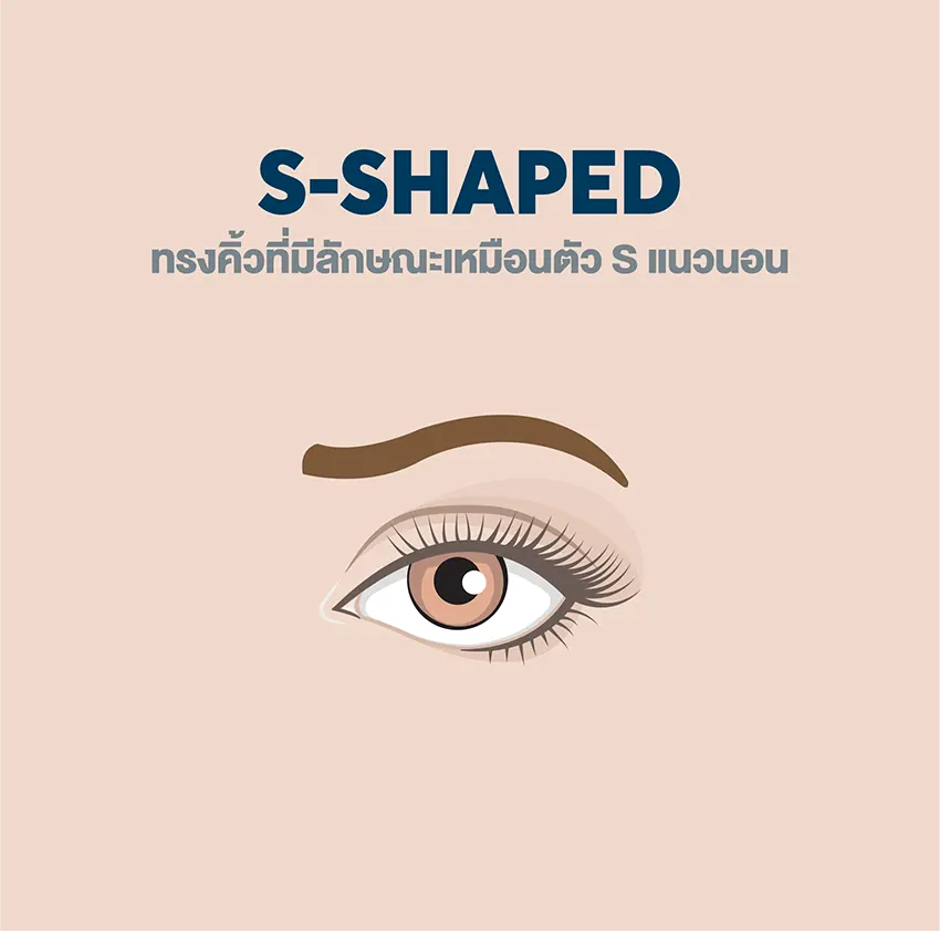 เพ้นท์คิ้วทรงไหนดีให้เหมาะกับโครงหน้า